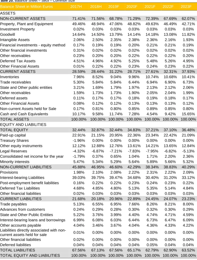 Table 20. Balance Sheet – Secil – Common Size 