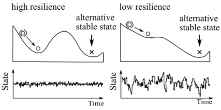 Figure 1.1: Conceptual image of high vs low resilience landscape