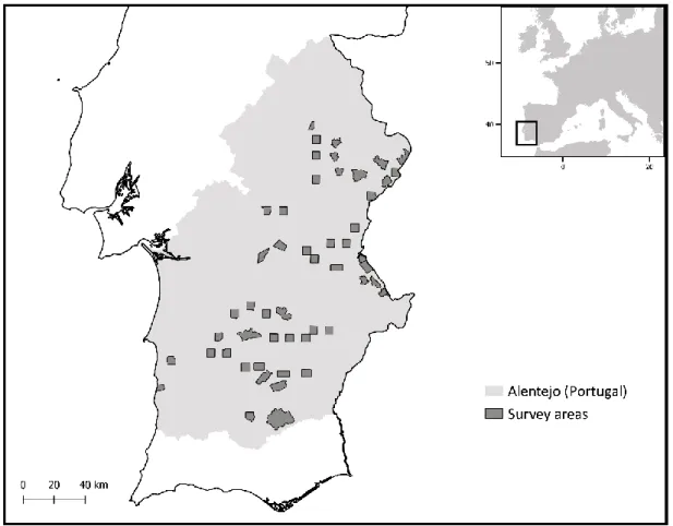 Figure 1 – Location of the 51 survey areas in Alentejo, Portugal. 
