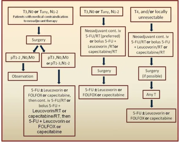 Figure  1.1-  Representative  scheme  of  current  guidelines  for  the  treatment  of  locally  advanced  rectal  cancer