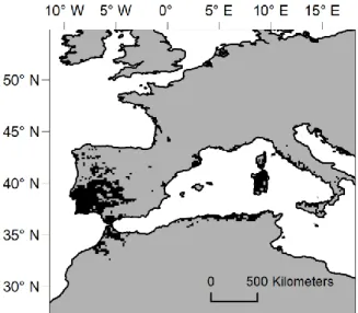 Figure 2.1. Cork oak distribution (in black). Over 60% of the current distribution is in  the Iberian Peninsula (Pausas et al