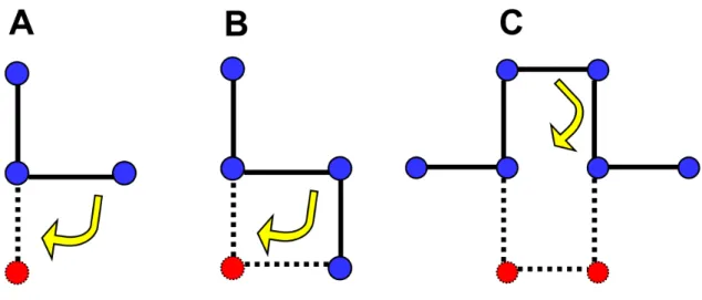 Figure 3.4: The kink-jump move set. The emd move (A), the corner-flip move (B) and the crank-shaft move (C).