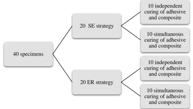 Fig. 1-  Representative scheme of experimental design 40 specimens20  SE strategy 10 independent  curing of adhesive and composite10 simultaneous curing of adhesive and composite20 ER strategy10 independent curing of adhesive and composite10 simultaneous c