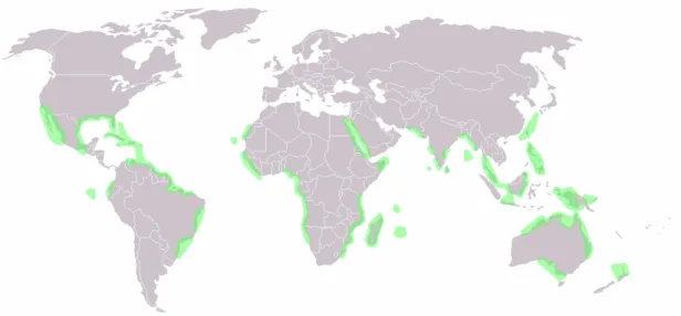 Figure 2 – World Distribution Map of Mangroves. 