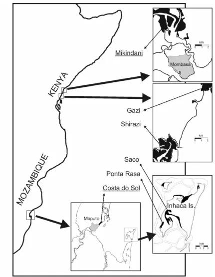 Figure 1 – Map of the sampling sites in Kenya and Mozambique, at East Africa coast. 