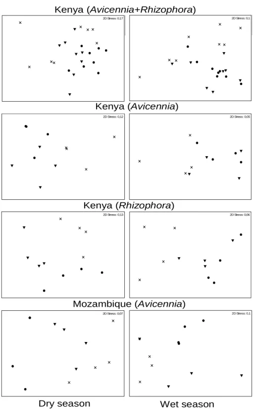 Figure  3  -  Non-metric  multidimensional  scaling  (NMDS)  ordination  of  root  transformed   macro-infaunal abundance data from three sampling sites, in both Avicennia and Rhizophora  belts, in Kenya ((x) Mikindani (●) Gazi (▼) Shirazi) and Mozambique 