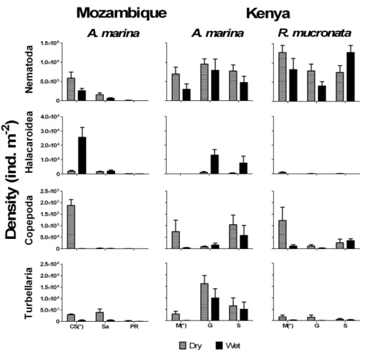 Figure  4  –  Average  (±SE)  of  the  most  abundant  meiofauna  major  groups  identified  in  contaminated  and  pristine  mangrove  sites  in  Kenya  and  Mozambique  at  dry  and  wet  seasons per square meter