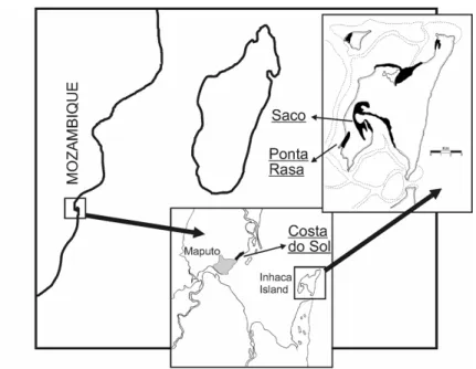 Figure 1 – Location of study sites in southern Mozambique.  