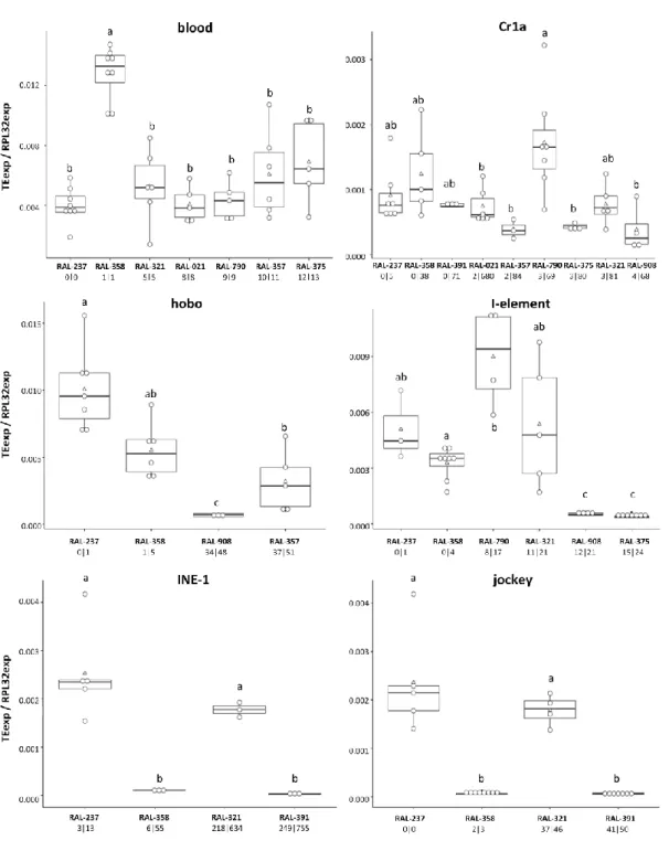 Figure  3:  No  directional  trend  observed  between  blood,  Cr1a,  hobo,  I-element,  INE-1  and  jockey  expression  (normalized  to  RpL32),  in  ovaries  of  DGRP  lines,  and  respective  different  predicted  copy  numbers