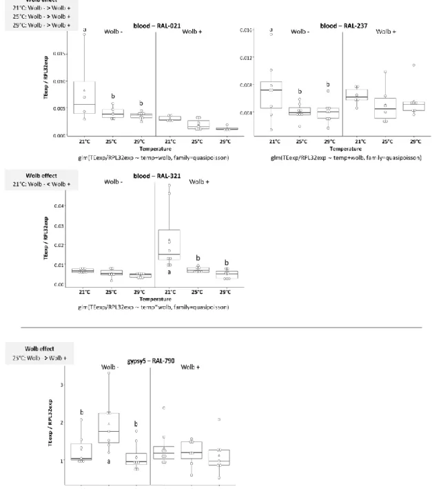 Figure  5:  Temperature  effects  in  the  expression  (relative  to  control  gene  RpL32)  of  blood  and  gypsy5  (copy-and-paste TEs) in ovaries of adults of different DGRP lines, with or without  Wolbachia