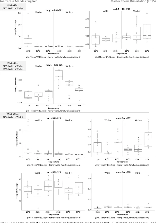 Figure 6: Temperature effects in the expression (relative to control gene RpL32) of mdg1 and roo (copy-and- (copy-and-paste TEs) in ovaries of adults of different DGRP lines, with or without Wolbachia