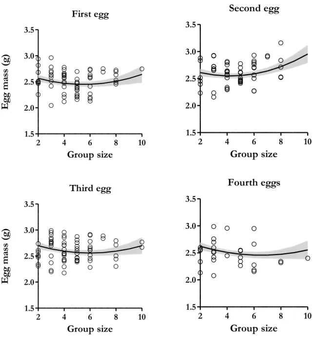 Figure 1. Effect of the interaction between group size and laying order on egg mass. The full- full-filled line indicates predicted values from the linear mixed models and grey area correspond to ± SE  values