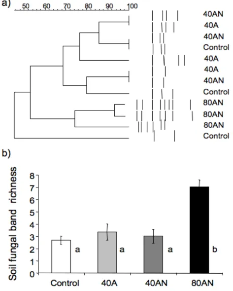 Figure 3.1 - Response of soil fungal community to N additions including ammonium (A) or ammonium  with  nitrate  (AN),  in  terms  of  dendrogram  (a)  and  band  richness  (b)  according  to  treatments  (see  materials and methods)