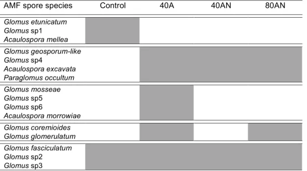 Table  3.1  -  List  of  the  AMF  spores  species  observed  in  soil  samples  (n  =  3  per  experimental  plot)  collected in December 2008