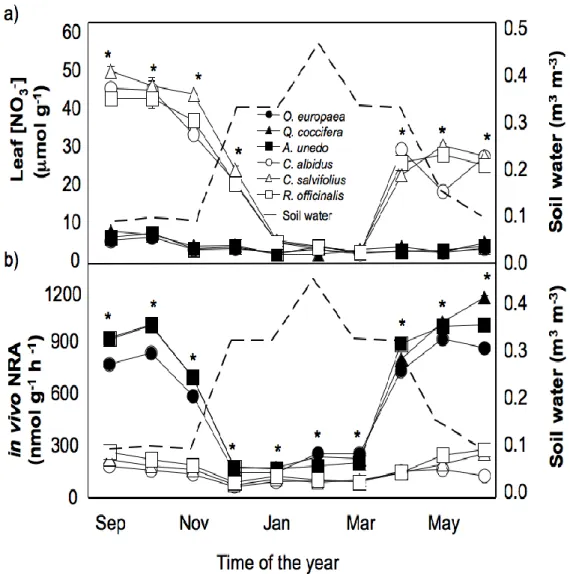 Figure 4.2 –Leaf nitrate concentration (a) and in vivo NRA of  the studied plant species belonging to  the two PFG (summer semi-deciduous – open symbols; and evergreen sclerophylls – filled symbols)  along the experimental period