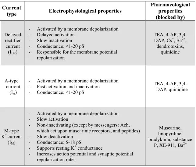 Table 4: K +  voltage-dependent currents - main electrophysiological and pharmacological properties