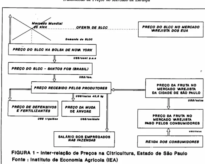 FIGURA 1 - Inter-relação de Preços na Citricultura, Estado de São Paulo Fonte: Instituto de Economia Agrrcola (lEA)