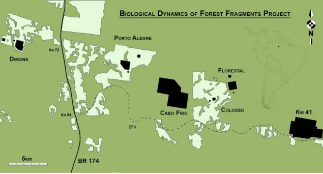 Figure 1. Map of the Biological Dynamics of Forest Fragments Project (BDFFP) study area in the central Amazon