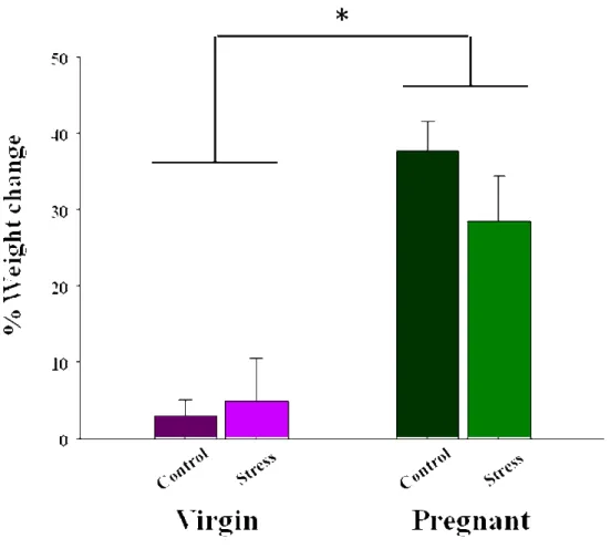 Figure 14. Mean (± SEM) percentage of weight change across the duration of pregnancy and at  matched time points in virgin females