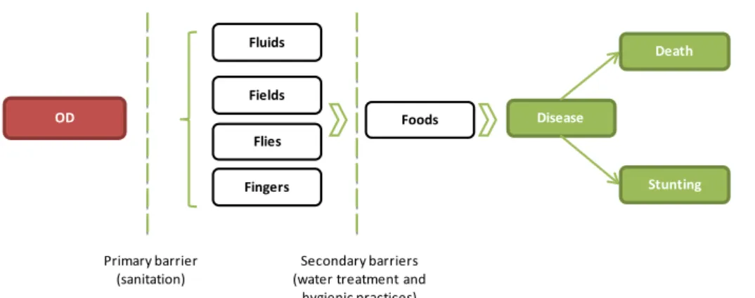 Figure 4: How open defecation affects health 