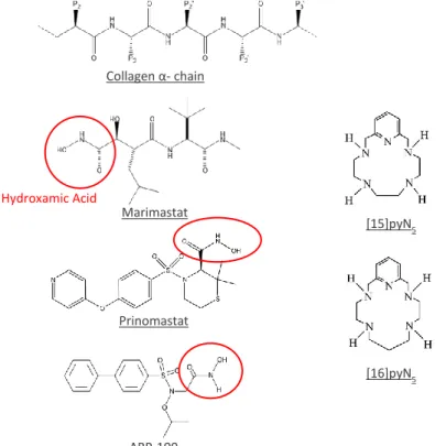 Figure 4. Chemical structure of some hydroxamic acid MMP inhibitors (Marimastat, Prinomastat  and ARP-100) and of the macrocyclic compounds containing pyridine ([15]pyN 5  and [16]pyN 5 ).