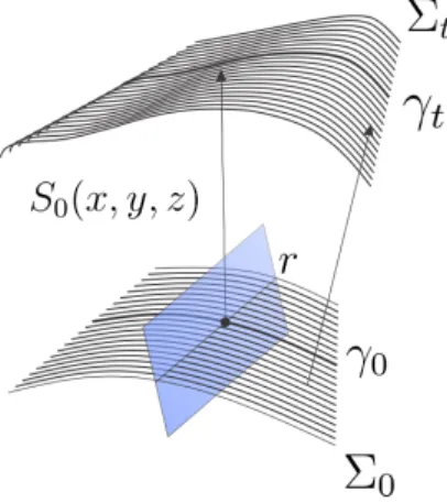 Figura 2.1: A superf´ıcie Σ 0 ´ e composta por curvas integrais de E 0 , cada uma das quais passando por algum ponto da reta r.