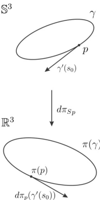 Figura 4.1: Devemos verificar que a proje¸ c˜ ao de c´ırculos de Hopf com uma dada parametriza¸ c˜ ao de S 3 em R 3 coincide com as curvas integrais dos campos.