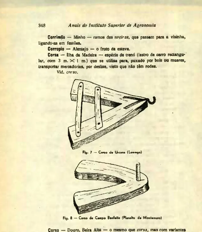 Fig. 8 — Corto da Campo Banfaito (Planalto do Montomuro)