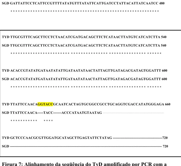Figura 7: Alinhamento da seqüência do TyD amplificado por PCR com a 