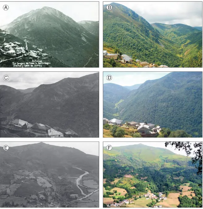 Figura 7. Cambios observables en la vegetación en el entorno de diferentes asentamientos de montaña del Macizo  Asturiano