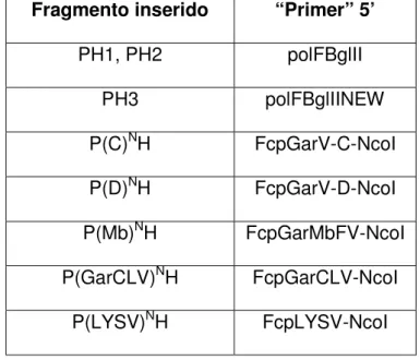 Tabela 2.8. Programa de PCR utilizado para comprovar construção dos  bacmídeos recombinantes