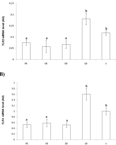 Figure 5 - mRNA level (Arbitary Units, AU) evaluated by real-time PCR for the genes  TLR2  (A)  and  TLR4  (B)  in  the  endometrium  of  the  bitch  during  the  oestrous  cycle  (n=25) 