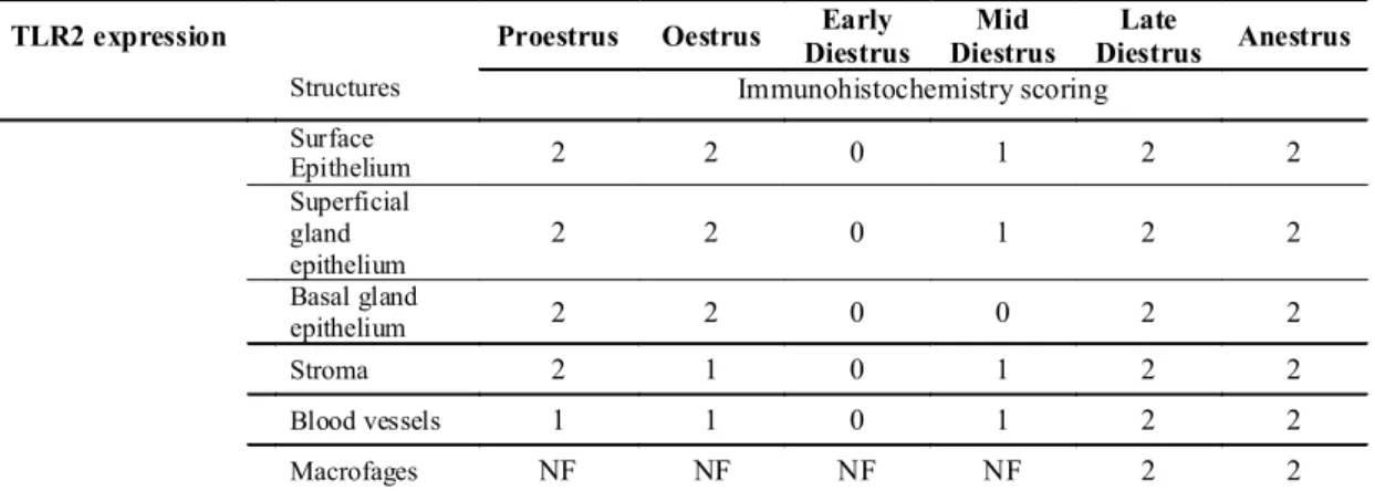 Table 3 - The mean expression score for TLR2 and TLR4 in different structures of the  canine endometrium throughout the estrous cycle 
