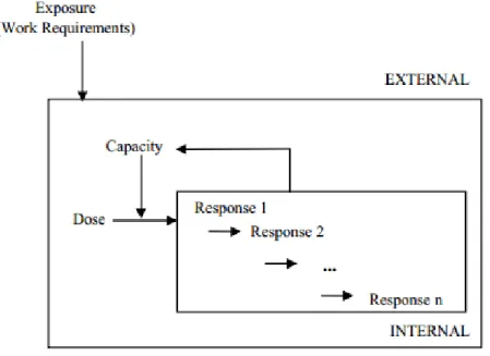 Figure 2 Pathways involved in the pathogenesis of UL- UL-MSDS (Buckle &amp; Devereux, 2002) 