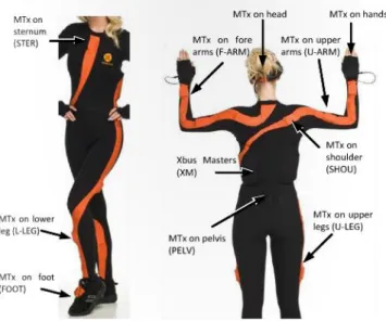 Table 10 Range of Motions and Degrees of freedom analyzed  Range of Motion of the Articulation  Degrees of Freedom  Shoulder adduction/abduction  