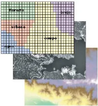 Fig. 13 – Representação de informação ieográfica em estrutura matricial (fonte: ESRI) 