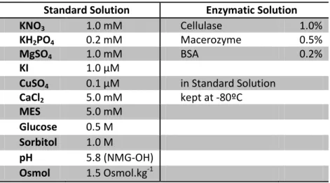 Table 1 - Protoplast Solutions. Osmolarity adjustment were made with sorbitol. pH was rectified with NMG-OH