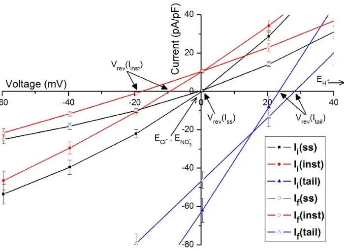 Figure 4 - Detail of I-V curves from Figure 3 in the vicinity of equilibrium potential of Cl - 