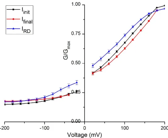 Figure 5 – Normalized average chord conductance curves of Arabidopsis thaliana wild type steady state rundown  currents