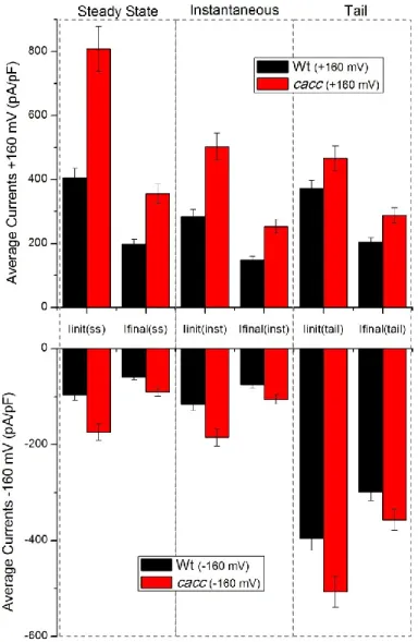 Figure 12 – Arabidopsis thaliana wild type and cacc mutant average current amplitude for the currents before and  after rundown (I init  and I final ) at ±160 mV for all three current components