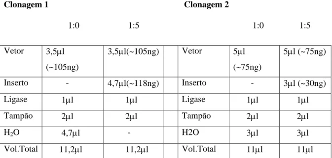 Tabela 3. Sistemas de ligação utilizados nas clonagens. 