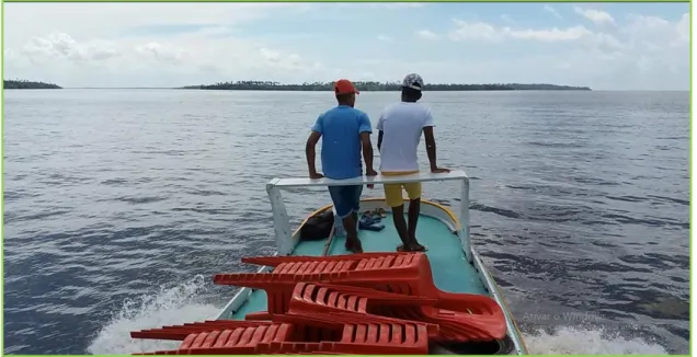 Figura 4: Imagem panorâmica da Ilha do Capim. Fonte: autor (2018). 