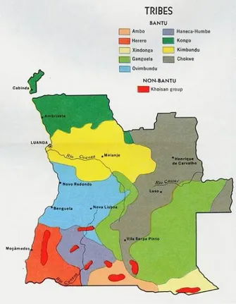 Figura 2 – Mapa da Vegetação em Angola 