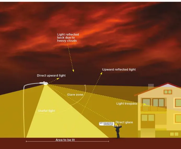 Fig.  3.5.  “The  infographic  above  illustrates  the  different  components  of  light  pollution  and  what  “good”  lighting  looks  like