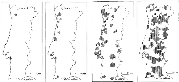 Figura 5 - Concelhos que até a época de 1970-71: sempre tiveram clubes de futebol na 1ª divisão; 