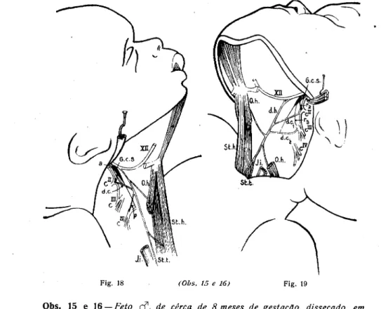 Fig. 18 (Obs. 15 e 16) Fig. 19 