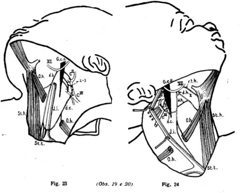 Fig. 23 (Obs. 19 e 20) Fig. 24 