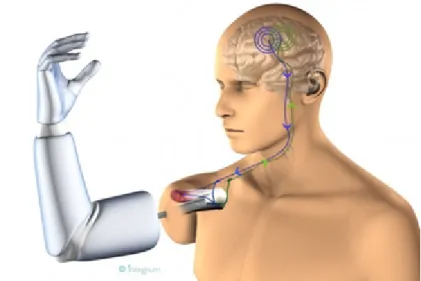 Figure 1.1: Prosthesis Control and Feedback through Neural Signal [4].