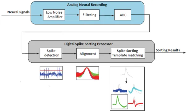Figure 3.9: Block diagram of the Spike Sorting – Template Matching process.