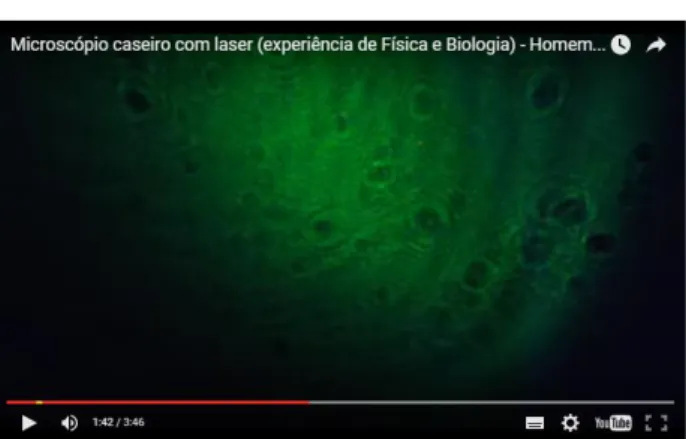 Figura 11: Print de uma cena do vídeo uma imagem obtida em um microscópio feito com seringa e luz  verde